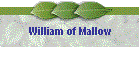 William of Mallow